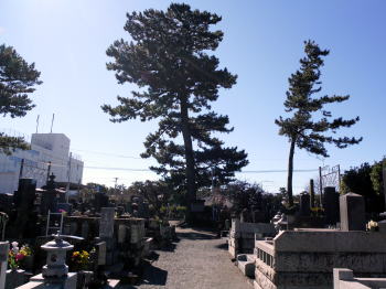 松蔭寺墓地